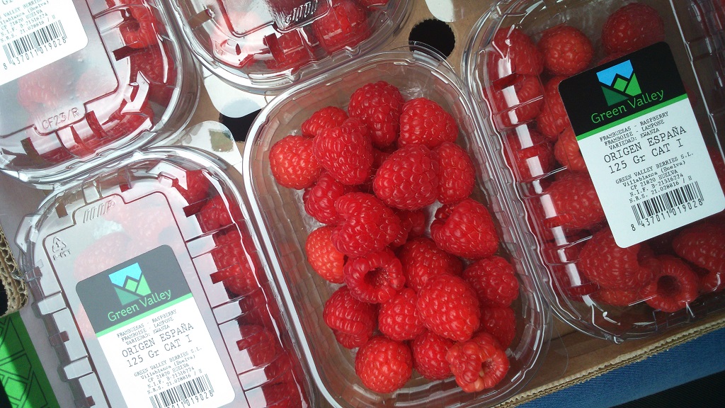 FRUTA TARRINA